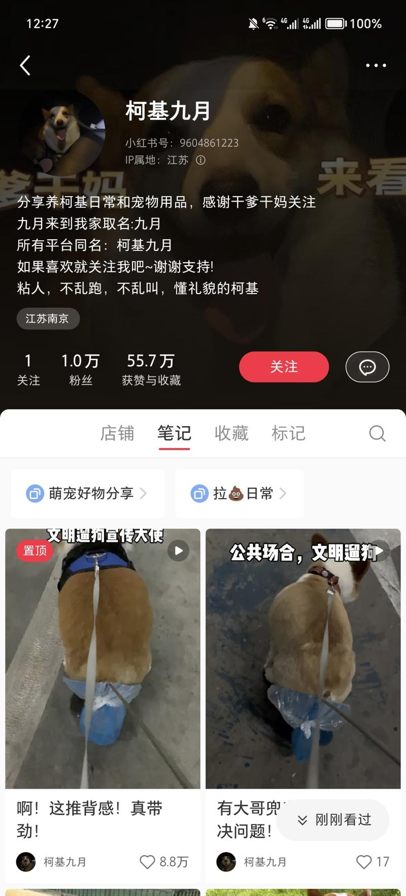 [奸笑]专门拍遛狗时候狗拉屎..情报-搞钱线报📢论坛-网创交流-优创圈